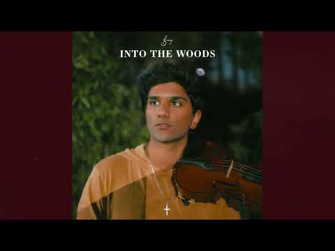 joel sunny - into the woods [original song] - official audio