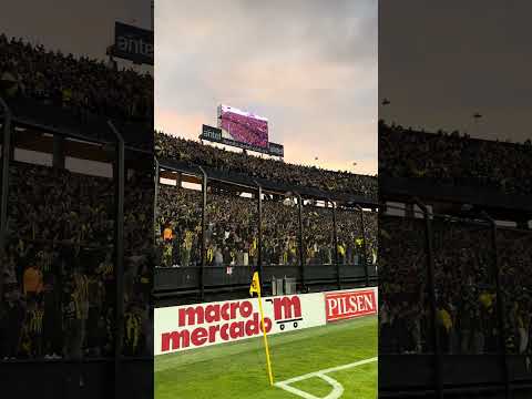 "ESTA HINCHADA LO MERECE." Barra: Barra Amsterdam &bull; Club: Peñarol