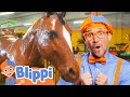 Blippi Learns And Explores Jungle Animals For Kids Educational Videos For Kids