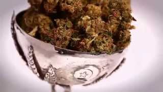~ DV-ONE ~ a very high potent medical marijuana strain.