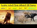 25 Unknown Interesting Facts About LIONS In Telugu The LION KING Telugu Knowledge