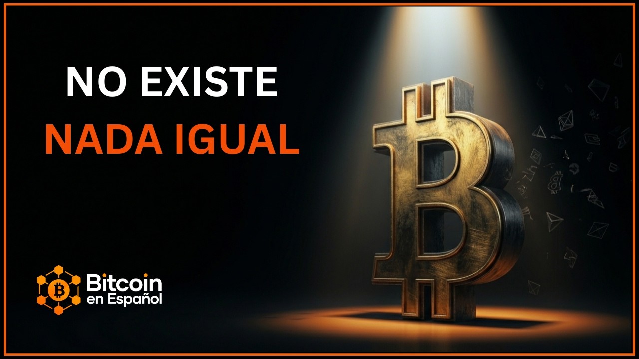Solo Bitcoin: por qué no existe nada igual