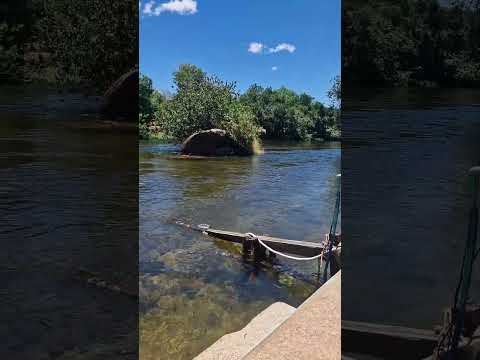 Rio Formoso na divisa dos Municípios de Coribe BA e Jaborandi BA #shorts