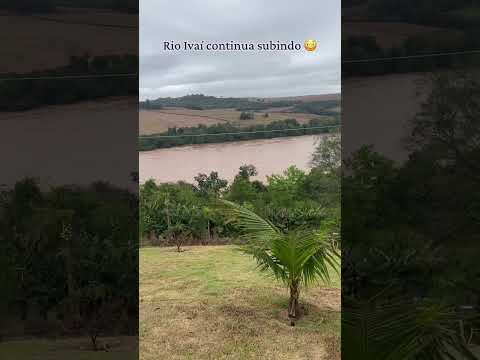 Veja como está o Rio Ivaí entre São João do Ivaí e Borrazópolis região norte do Paraná-Brasil. #rio