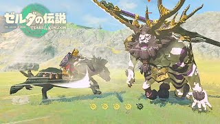 馬術と弓術を会得したリンクのライネル一騎打ち！【ゼルダの伝説 ティアーズ オブ ザ キングダム】