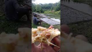 Download lagu Nikmat nya sarapan di sawah mp3