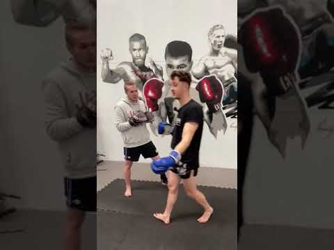 Jab - Low Kick arrière - Pivot
