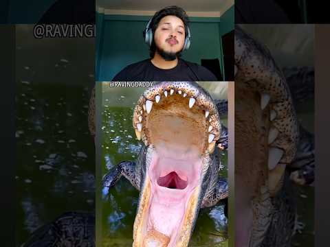 Try not to laugh challenge 361🤣 #shorts #funny #trending