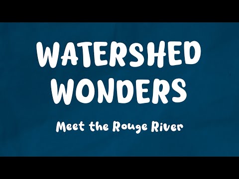 Watershed Protection: The Unseen Guardian of Our Ecosystems