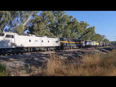 SSR grain train on a stinking hot summer day in January 2022