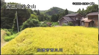 西三川砂金山 日本の世界遺産・動画