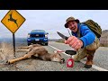 ROADKILL Deer Catch Cook Full Process