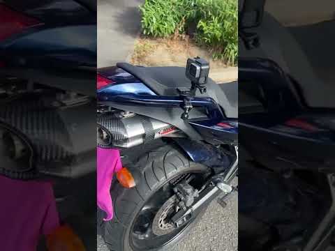 Cold Start | Yamaha fz6 Fazer S2 | Mivv Exhausts #motorcycle #exhaust #yamaha #youtubeshorts