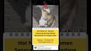 Download lagu Cucah Cwiiit🐱 #shorts #short #shortvideo #trending #trendingvideo #viral #viralvideo #video mp3