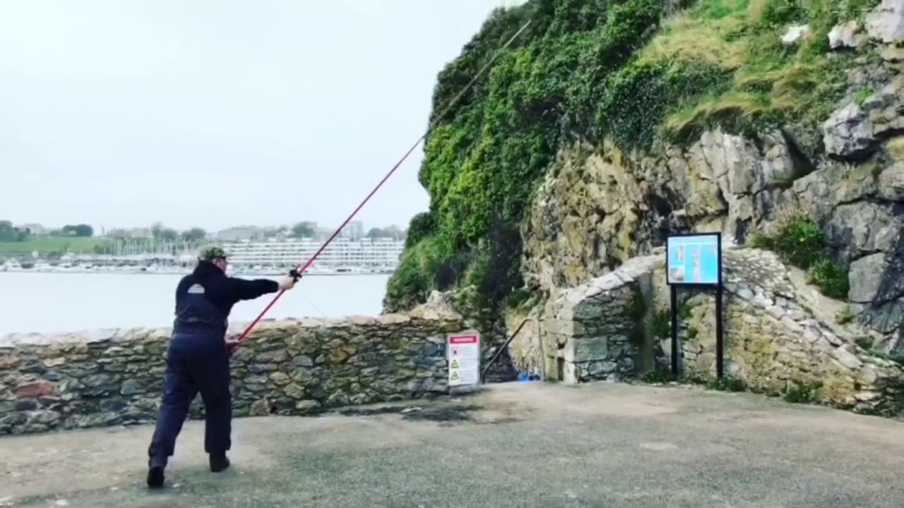 TRONIXPRO NAGA MX PENDULUM