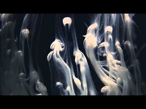 Jean Michel Jarre  - Geometry Of Love (Full album)