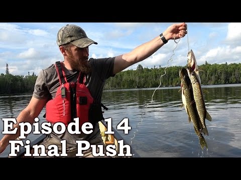 Catch and Cook CATFISH Survival Tactics | The Wilderness Living Challenge 2016 S01E14 - FINAL PUSH