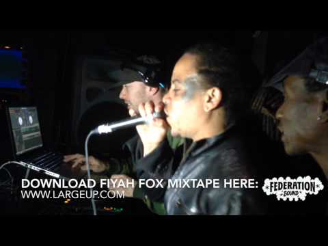 Red Fox & Screechy Dan Live at BNM:NYC - Fiyah Fox Mixtape Release Party 11.21.13