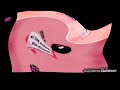 Up 2009 End Credits Stretch Films Cartoon Network In Does Respond