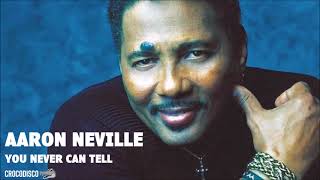 Aaron Neville - You Never Can Tell