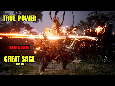 True Sun Wukong  Looks Like This. NG+ 10