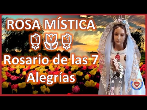 MARÍA ROSA MISTICA  🌹 Rosario de las Lagrimas  🌹 7 Alegrías y privilegios