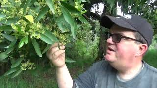 TRIP UP AND BACK TO USA With Chile Expat Family