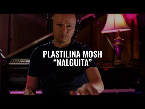 Plastilina Mosh - Nalguita | El Ganzo Session