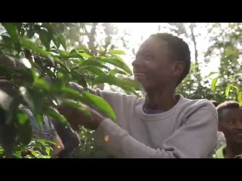 3 Coffee Guys - Ethiopia