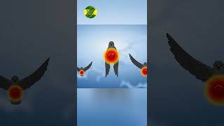 Download lagu Pasukan gajah dihancurkan oleh burung ababil | Pasukan gajah part 5 mp3