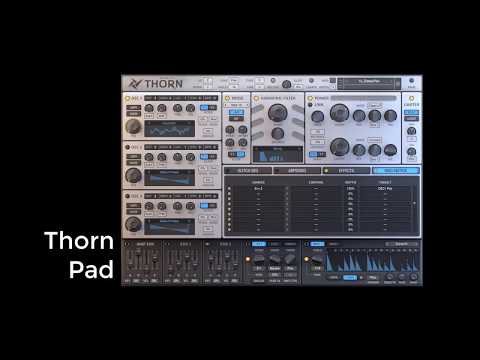 Dmitry Sches Thorn Pad