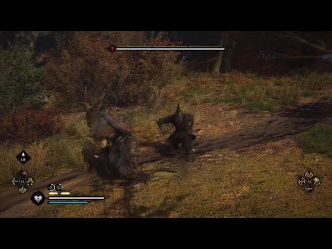 AC Valhalla - lvl 53 vs lvl 160