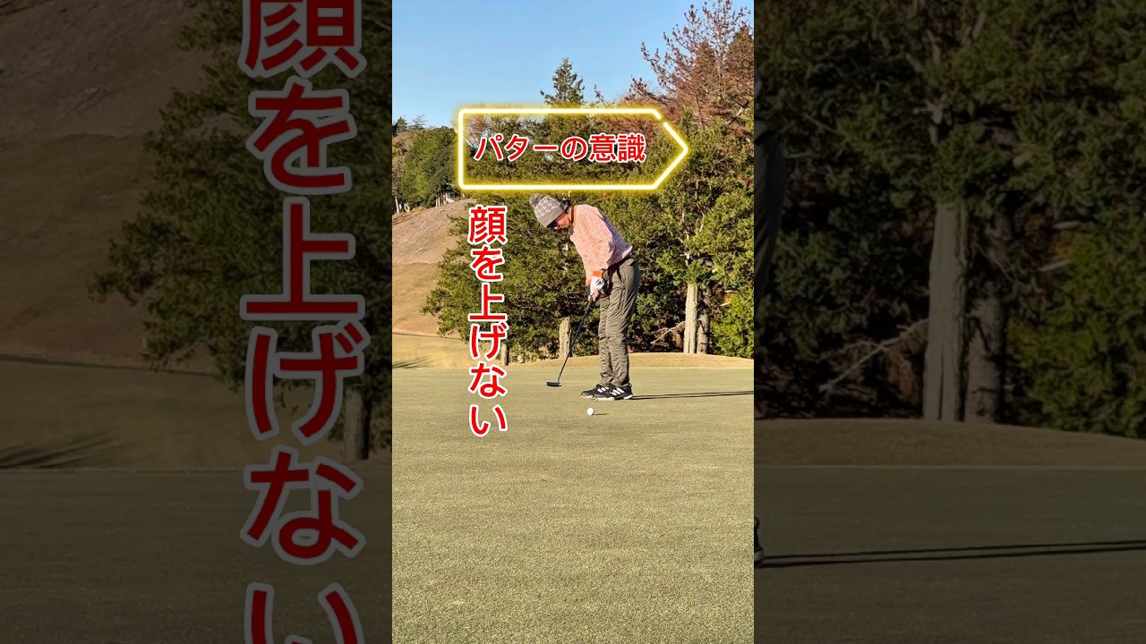 パターの意識　顔を上げない　#shorts #ゴルフ #ゴルフスイング #golf #パター