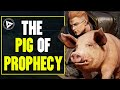 Assassin's Creed Valhalla - More Mystery News - The Pig of Prophecy (20+ Prophecies including AC1)