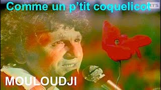 Mouloudji : Comme un p’tit coquelicot - French song (Fr/En Lyrics)