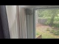 Paper Wasps Begin Building Their Nest in Old Bridge, NJ
