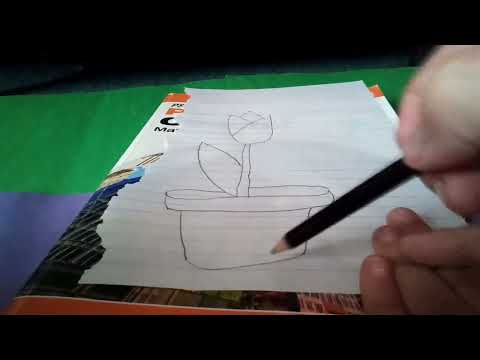 How To Draw A Tulip In A Pot!