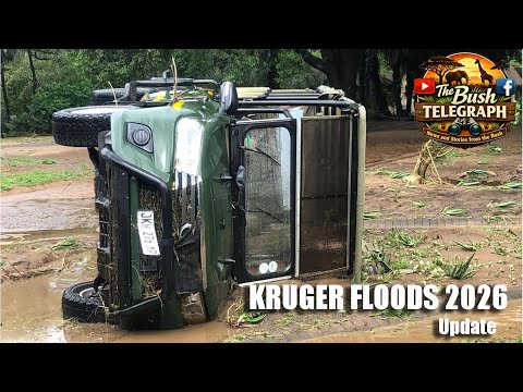 Kruger Floods 2026 update