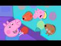 George S CHEEKY Birthday Party Bouncy Castle Fun Peppa Pig Full Episodes 30 Minutes