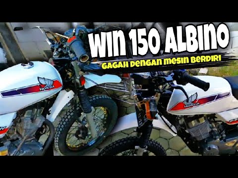 HONDA MEGAWIN 150 CC REVIEW, MORE HANDSOME WITH A STANDING ENGINE || Top_X modifications