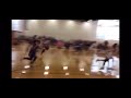 Kate Benes AAU Highlights 2017-18 (Played up a grade)