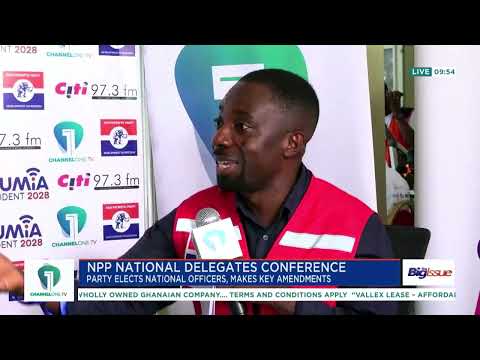 Miracles Aboagye Explains NPP Proposal for Three Additional Vice Chairs