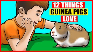 12 Things Guinea Pigs Love the Most