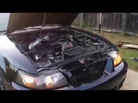 4.6 stroked to 5.0 w/ trackheat intake