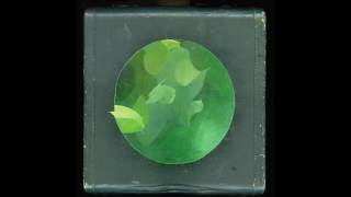 Circulatory System - Mosaic #8