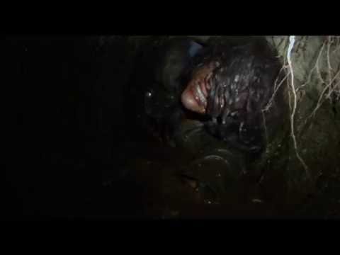 BLAIR WITCH - TV SPOT TUNNEL 15s