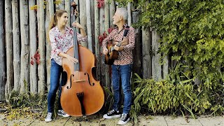 When You Come Back Down - Shades Of Night