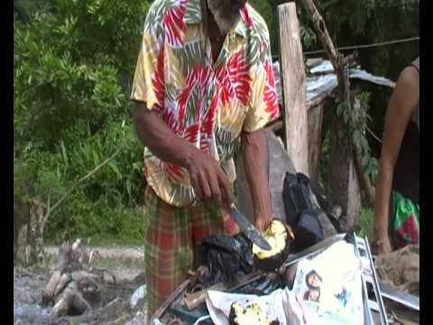 Breadfruit  ...The Man Ezeke