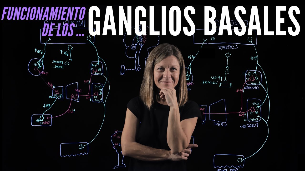 Funcionamiento de los ganglios basales en el control del movimiento
