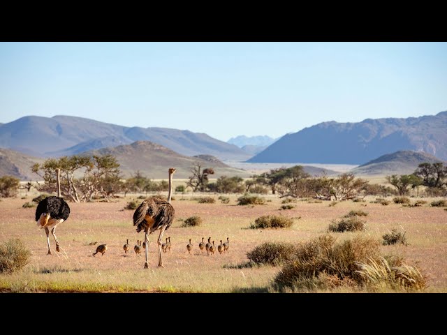 Sir David Attenborough on the Planet Earth series | Planet Earth III